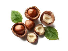 Лісовий горіх