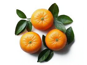 Мандарин