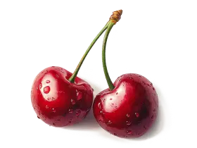 Вишня