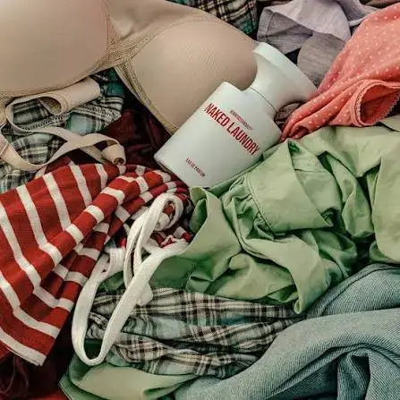 Naked Laundry 3