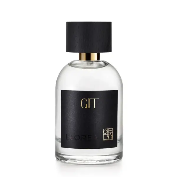 Git