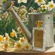Printemps À La Campagne